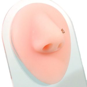 Porte-bijoux transfrontalier, simulation d'étagère en acrylique faux nez en silicone, porte-bijoux clou de nez, accessoires de poinçonnage de narine – Image 5